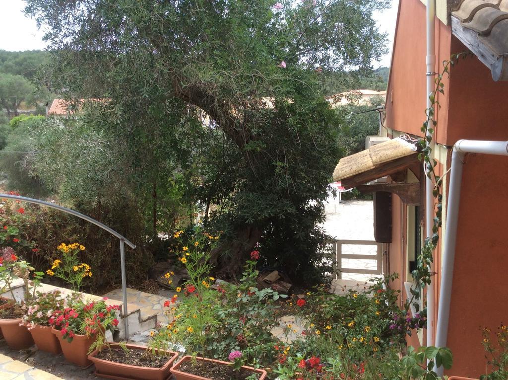 Paxos Bonzai Studios Gaios Kamer foto